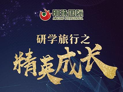 明珠国际宣传单