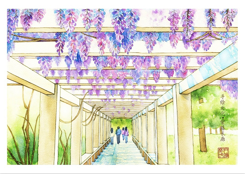 紫藤长廊画图片