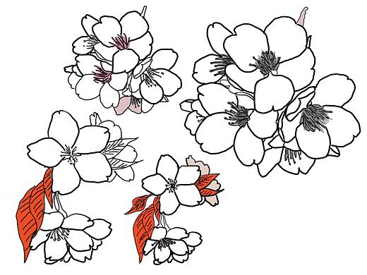 手绘花瓣