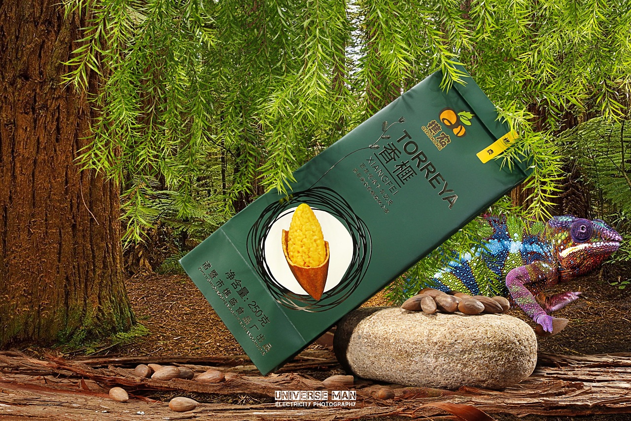 食品 坚果 宇宙人视觉定制 海报 淘宝摄影 香榧 美食 包装