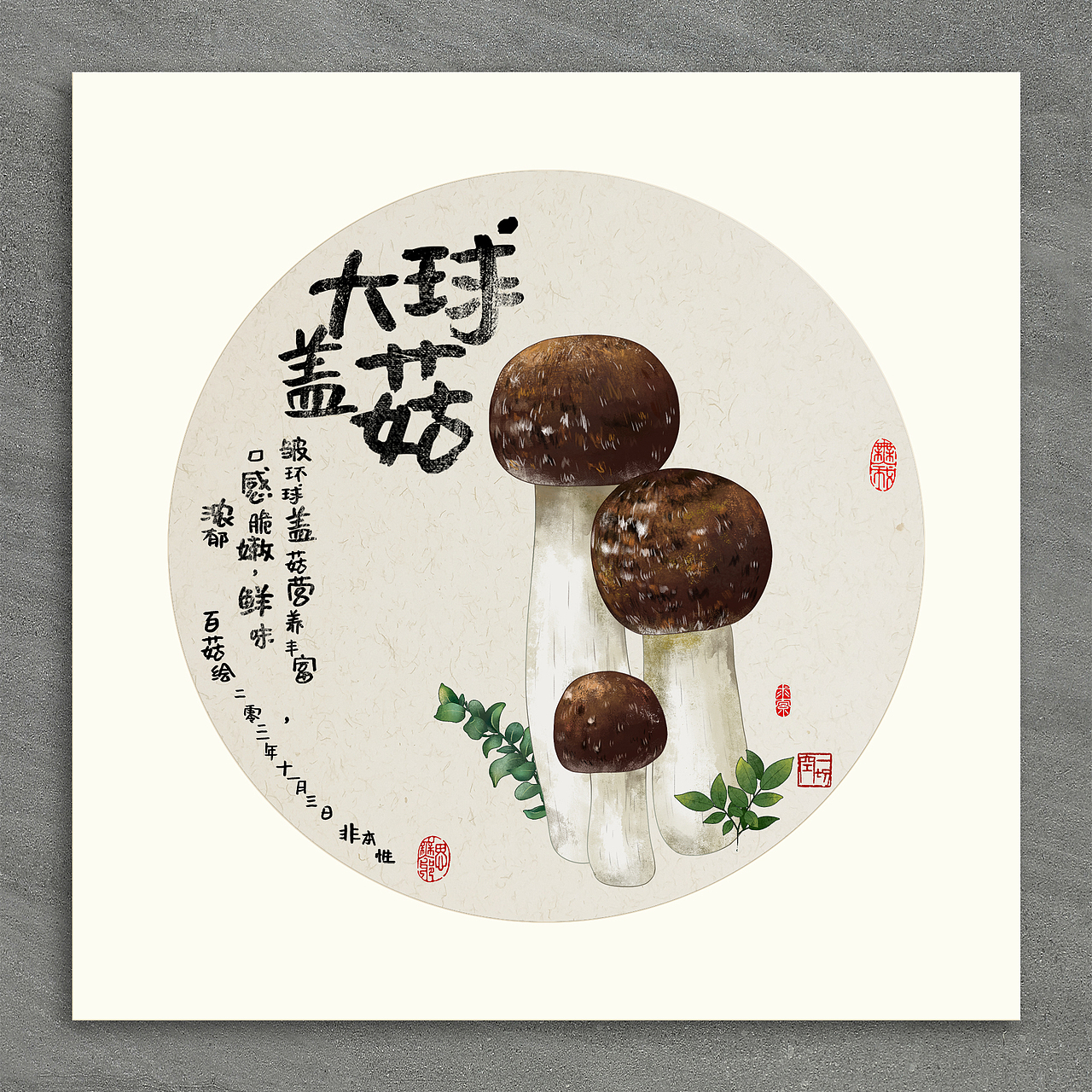《百菇图》 手绘板绘各色蘑菇 自嗨锅包装设计 插画