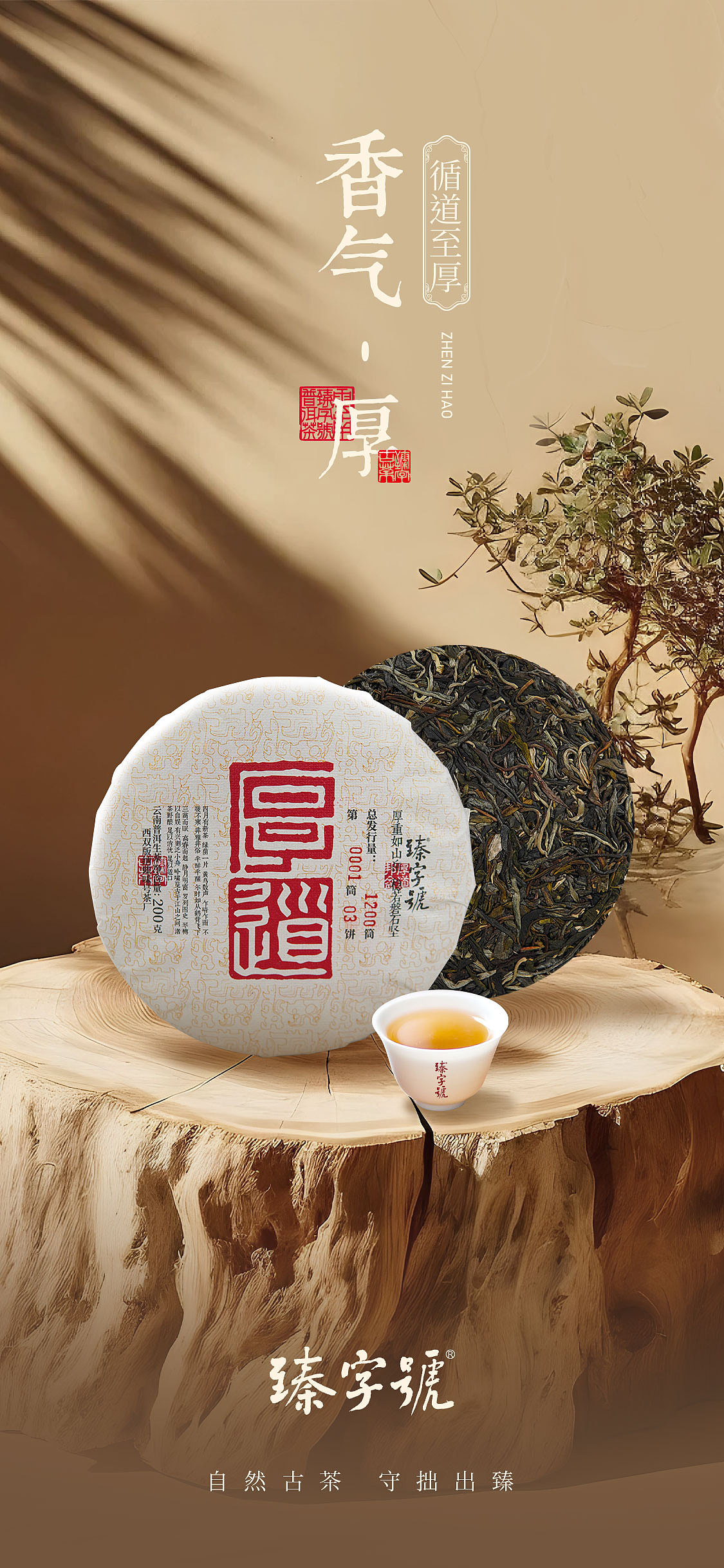 那些做过的普洱茶包装——臻字号·厚道（图ZMzcxMzkyOTg0） - 包装 - 站酷设计师Me喵喵原创素材 - 站酷ZCOOL