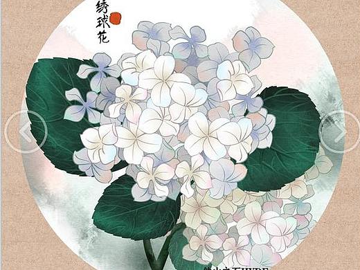 水彩植物果实花卉系列