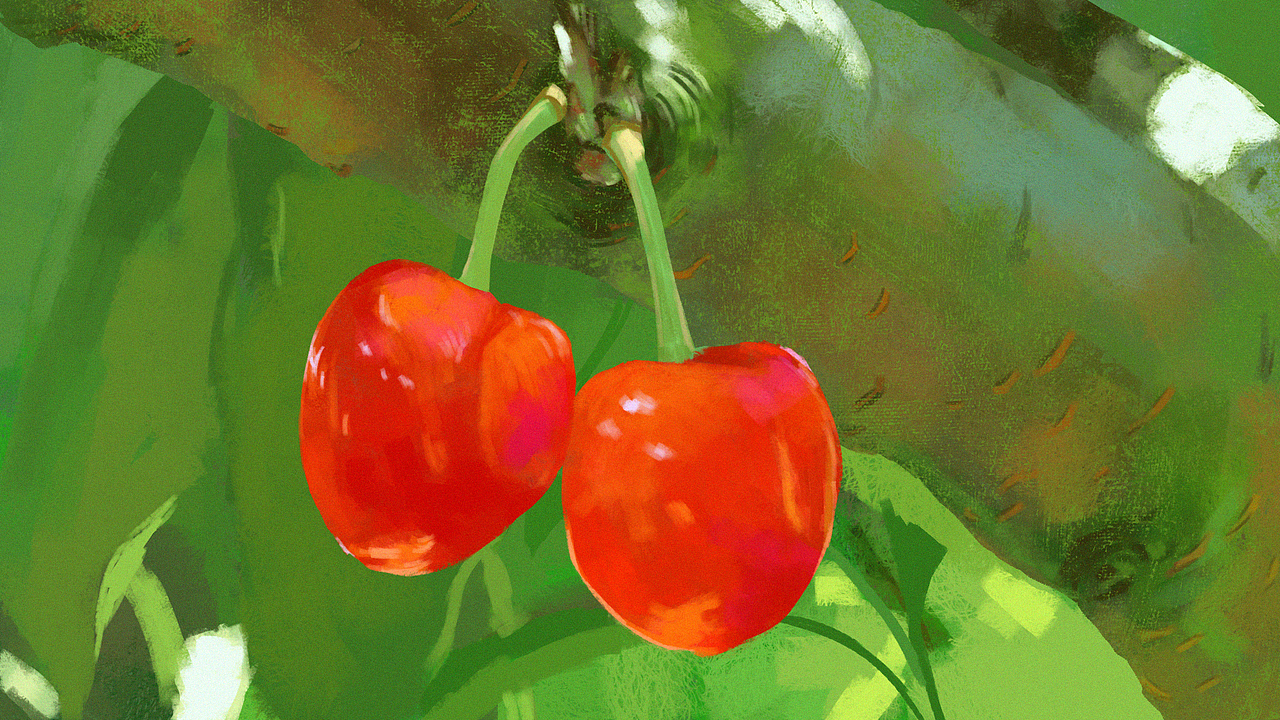 色彩60天挑战赛总结