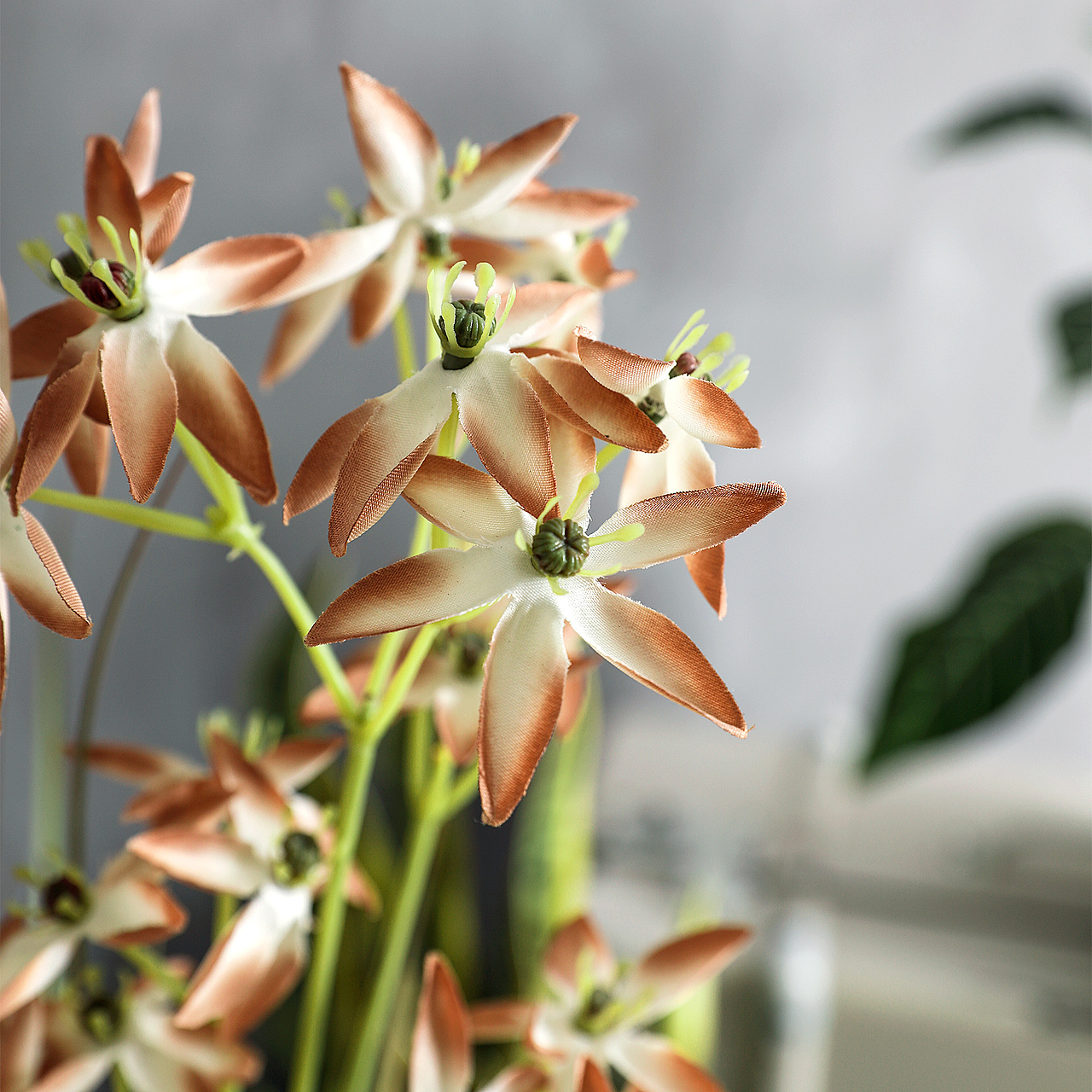 仿真绿植拍摄 | 向往的田园生活（图ZMjc3OTM2MDY0） - 产品摄影 - 站酷设计师栗子栗子摄影原创素材 - 站酷ZCOOL