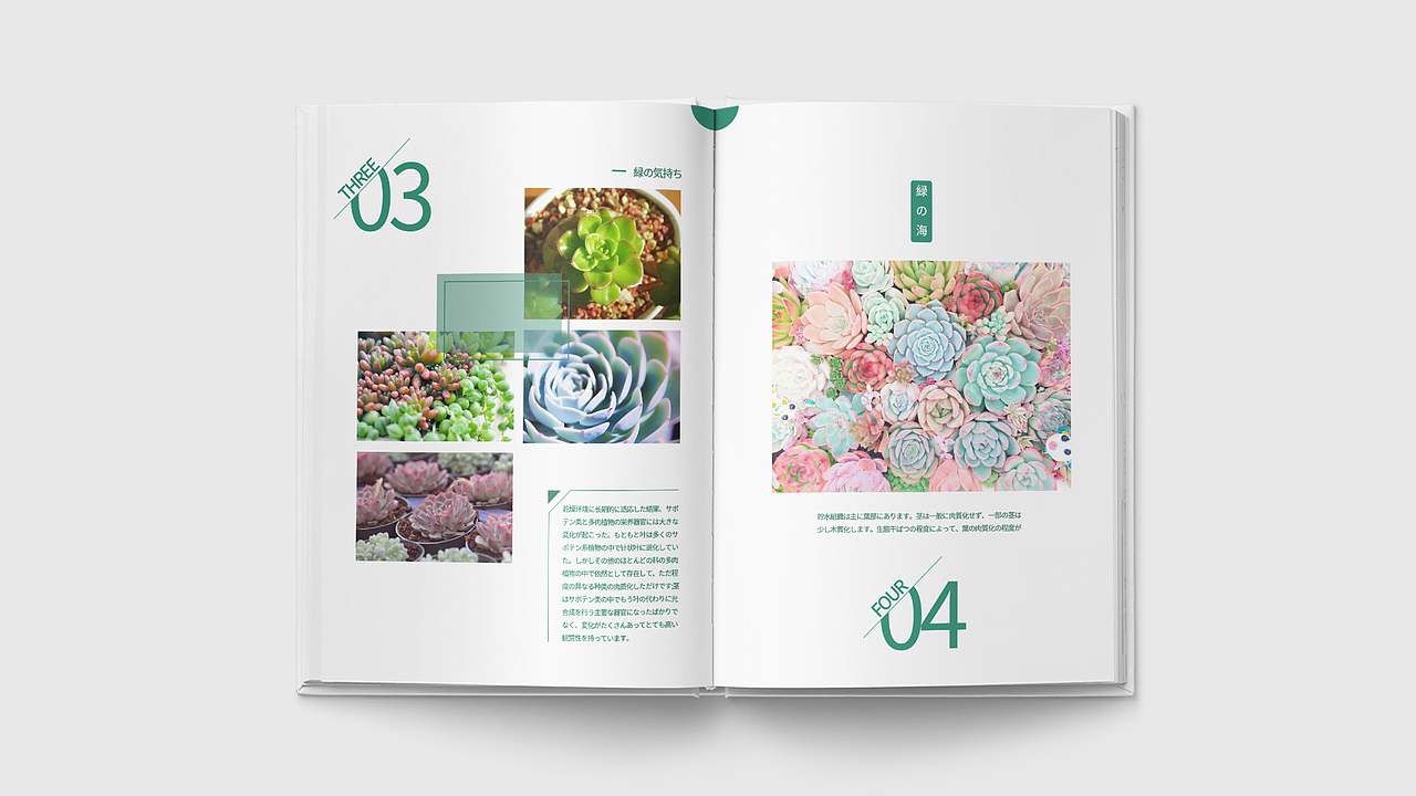 画册（图ZMTcyNzQ2MjAw） - 书籍/画册 - 站酷设计师CAONEZERO原创素材 - 站酷ZCOOL