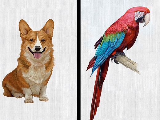 动物插画合辑22副