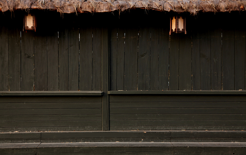 右下角的白猫在按下快门时悄悄离开了。。。