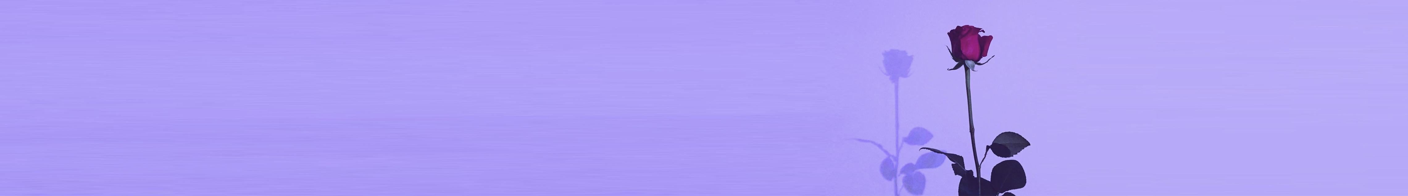 Madison_ZZ的個人主頁（封面預覽） - 主頁封面設置 - 站酷設計師Madison_ZZ原創(chuàng)素材 - 站酷ZCOOL