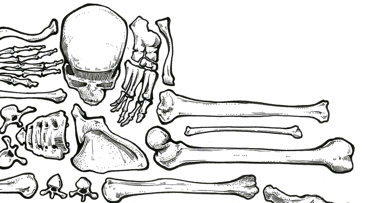 骷髅骨坦克 |手绘练习 1