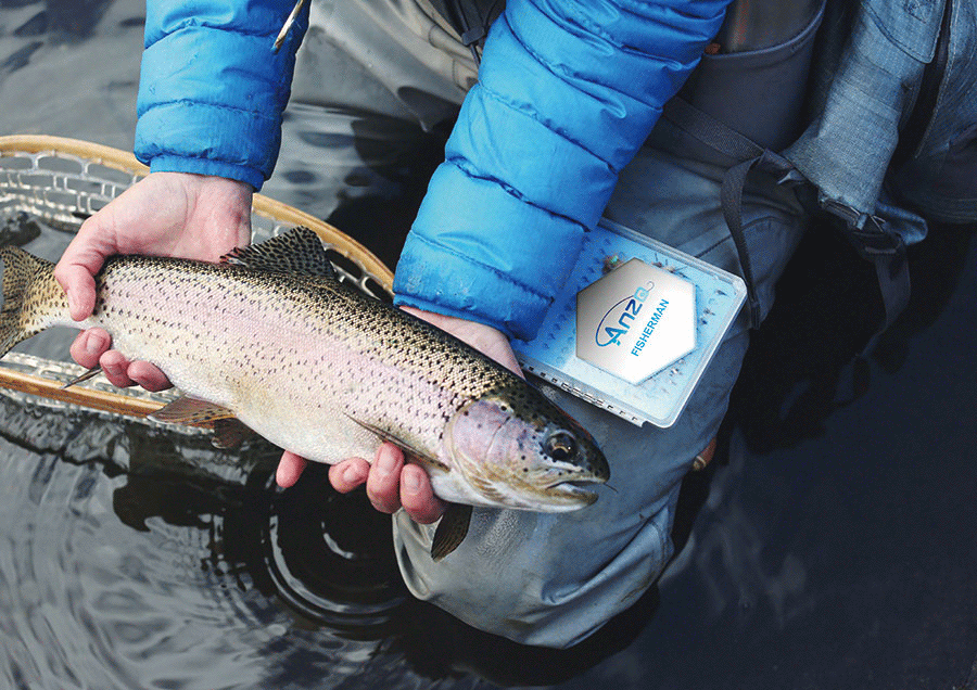 渔具品牌logo设计|Anzo品牌形象设计（图ZODg2MTI3NjQ=） - 品牌 - 站酷设计师东德品牌设计原创素材 - 站酷ZCOOL