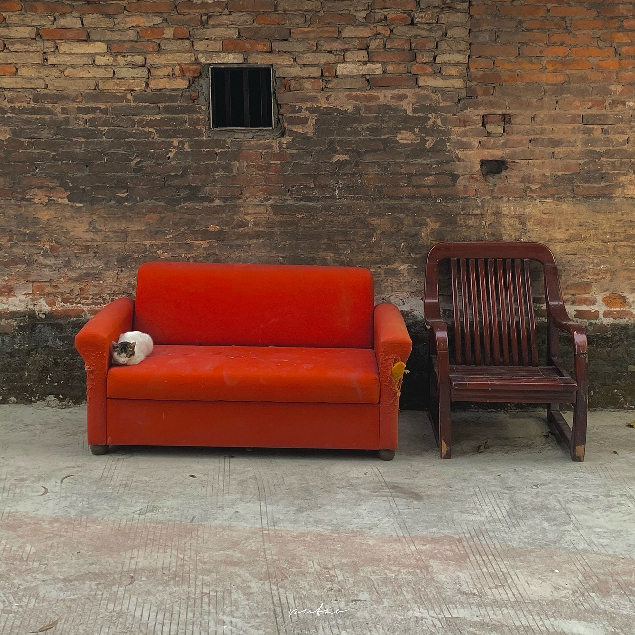 📷📱有趣的配色✨（图ZMjYxNTQ5NDY0） - 人文/纪实摄影 - 站酷设计师会拍照的葡萄原创素材 - 站酷ZCOOL