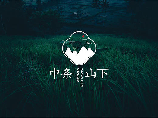 “中条山下”农产品包装设计