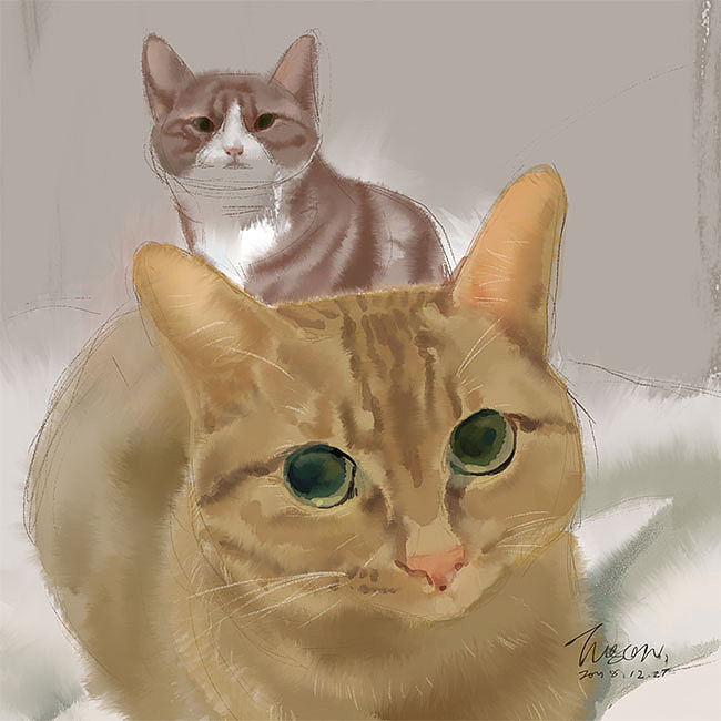 又画了10只猫（图ZMTg2NDE3ODM2） - 艺术插画 - 站酷设计师Tusan了了原创素材 - 站酷ZCOOL