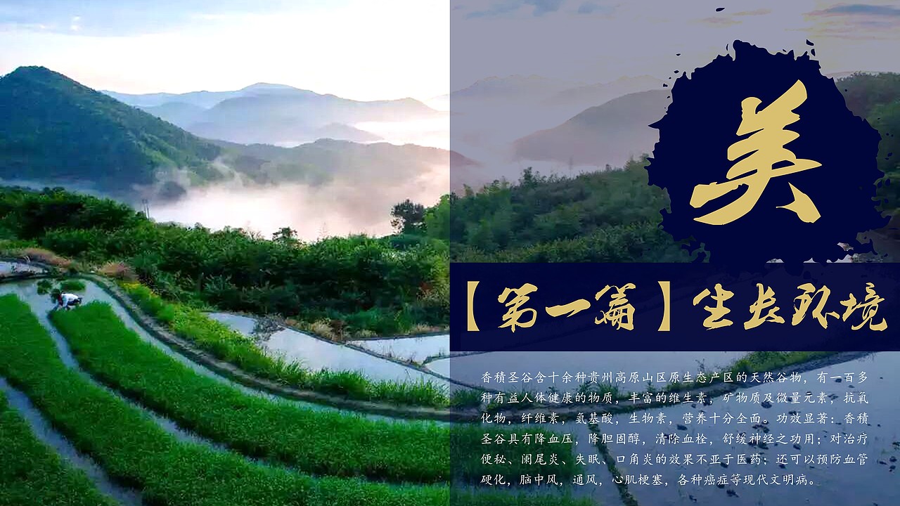 香积圣谷五星级早餐美食类模板（图ZNTY4NDQ4MzY=） - PPT/Keynote - 站酷设计师万能的小黑原创素材 - 站酷ZCOOL