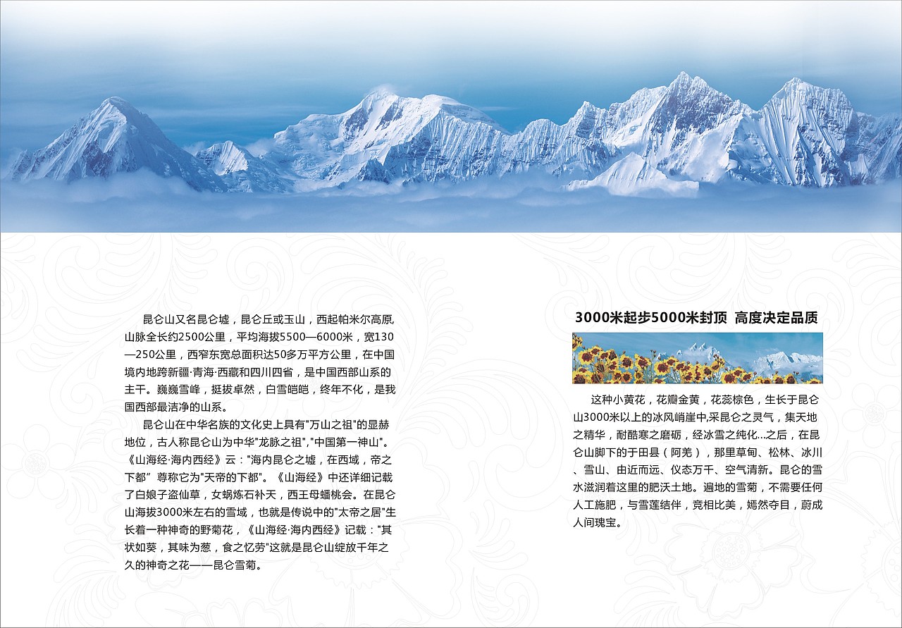 淘宝宣传小手册（图ZMjA0MjY3Mjg=） - 电商 - 站酷设计师七玥pancy原创素材 - 站酷ZCOOL