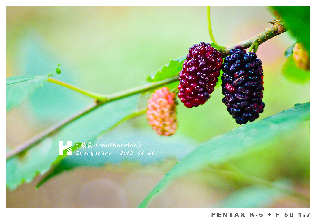 《桑葚.mulberries》（图ZODk2MDM2OA==） - 产品摄影 - 站酷设计师haodychou原创素材 - 站酷ZCOOL