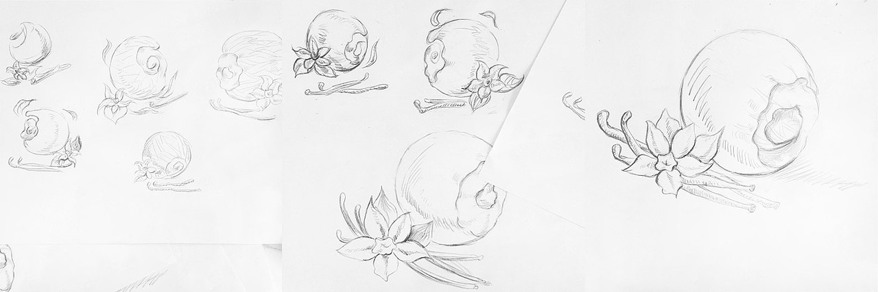 从十年经典到今日革新,只为让你更甜