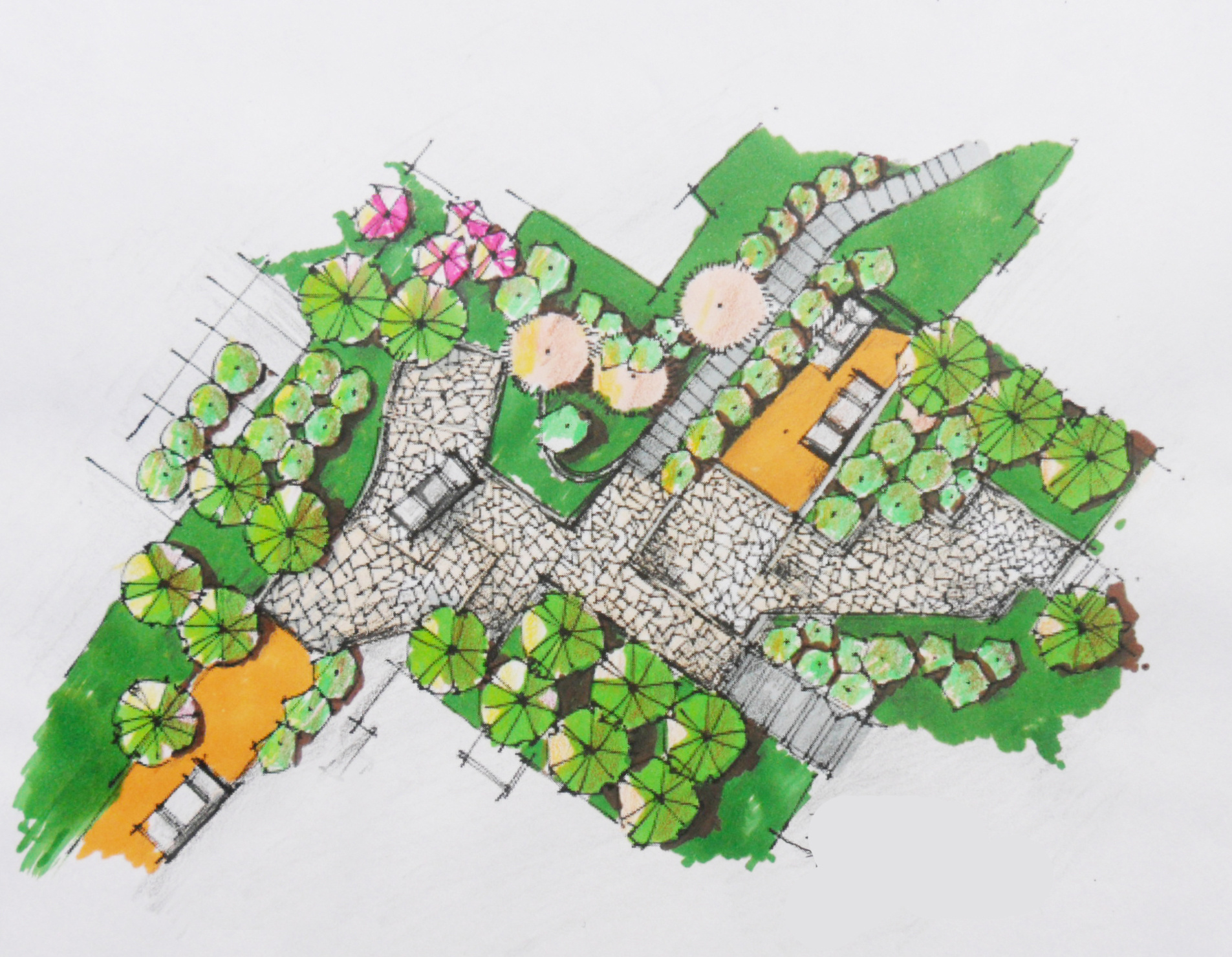 手绘临摹-线稿上色