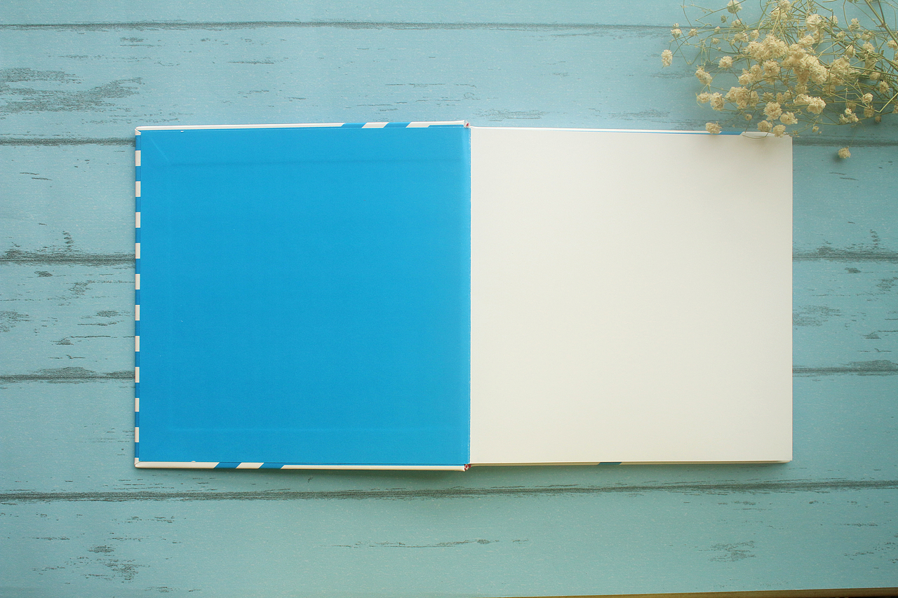 SIA冰淇淋 【VI手册】