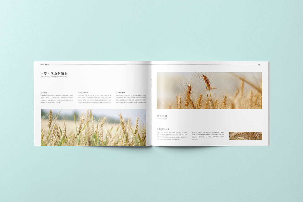 【画册设计】企业画册/季川栖户/农业画册(图ZMjc4OTQwOTAw) - 书籍/画册 - 站酷设计师Createalion原创素材 - 站酷ZCOOL