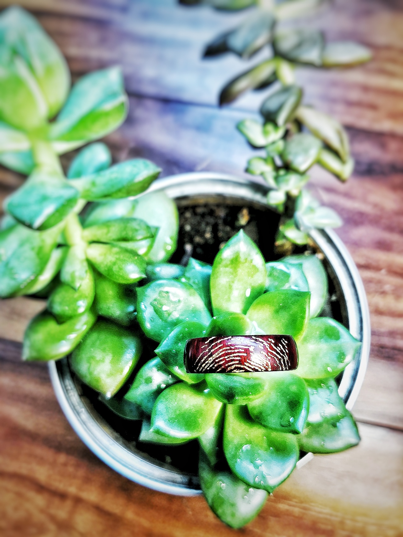 老男人的日常生活-----石思庆