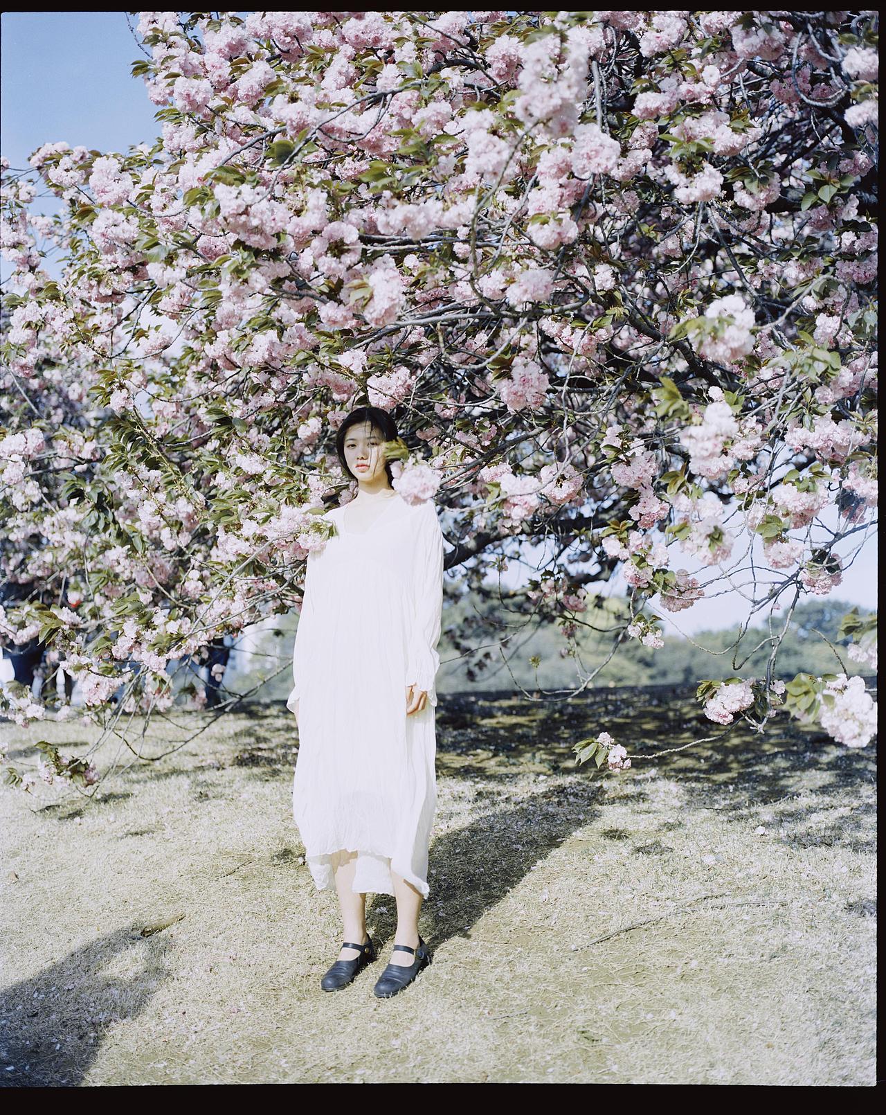 晚樱（图ZMTEzNzk3MzQ4） - 人像摄影 - 站酷设计师宏赟同学原创素材 - 站酷ZCOOL