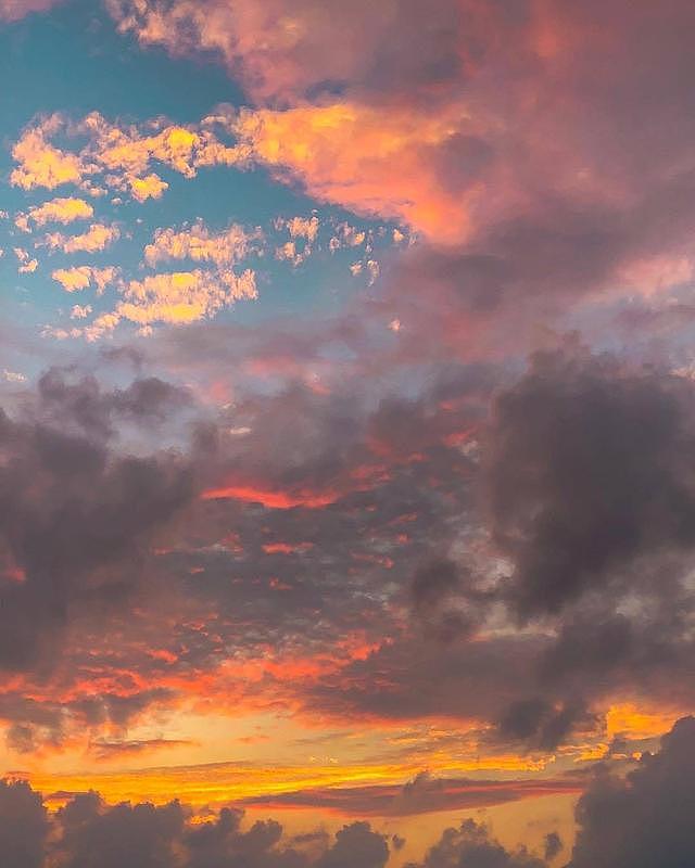 凭“星”而来，“鲨”耀新生（图ZMjkwNTk0MTQ0） - Logo - 站酷设计师yanghanMAX原创素材 - 站酷ZCOOL