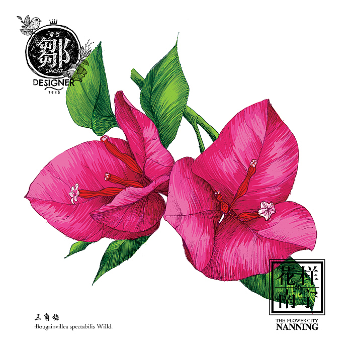 花卉插画及邮折设计（图ZNTE5MTE4NDQ=） - 商业插画 - 站酷设计师鄒慶原创素材 - 站酷ZCOOL