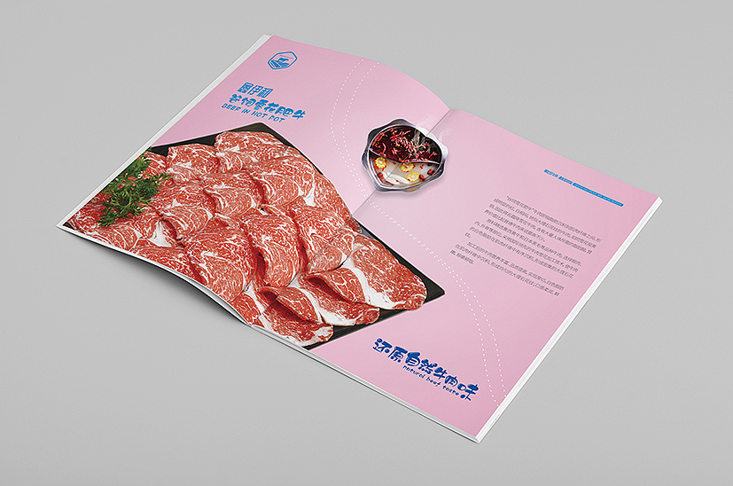 洛阳画册设计 洛阳画册印刷 产品摄影