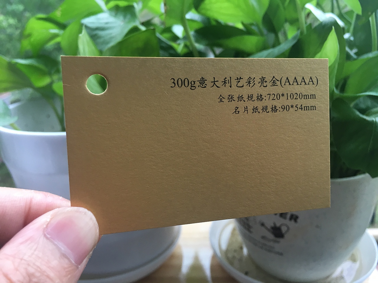 2019款特种纸艺术纸实物展示样册