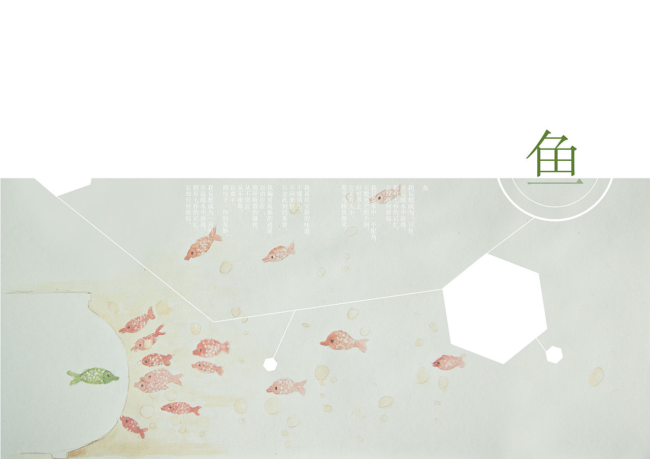 《迷》系列作品《红绿》一个红绿色盲的自述