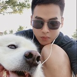 SHDOG的头像