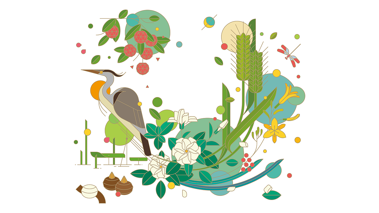 云南白药-“白药LIFE+”品牌设计&节气礼盒