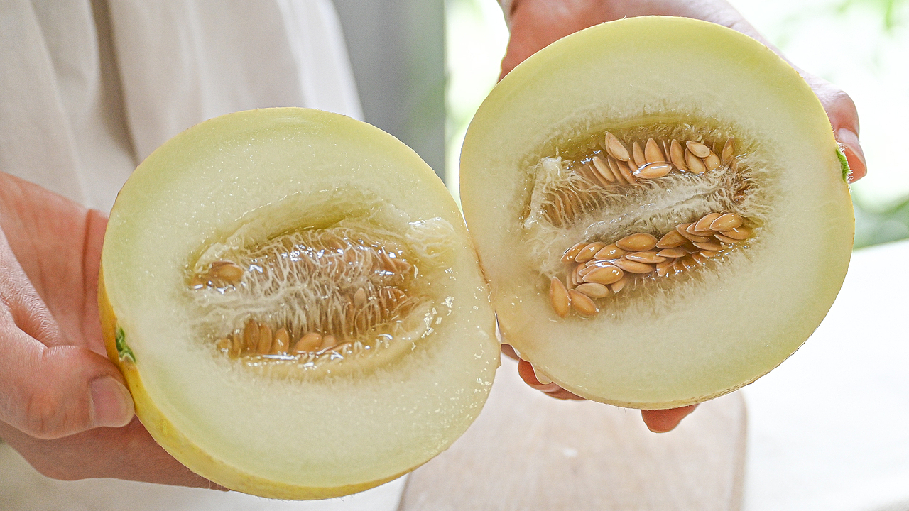 云南郁金香甜瓜