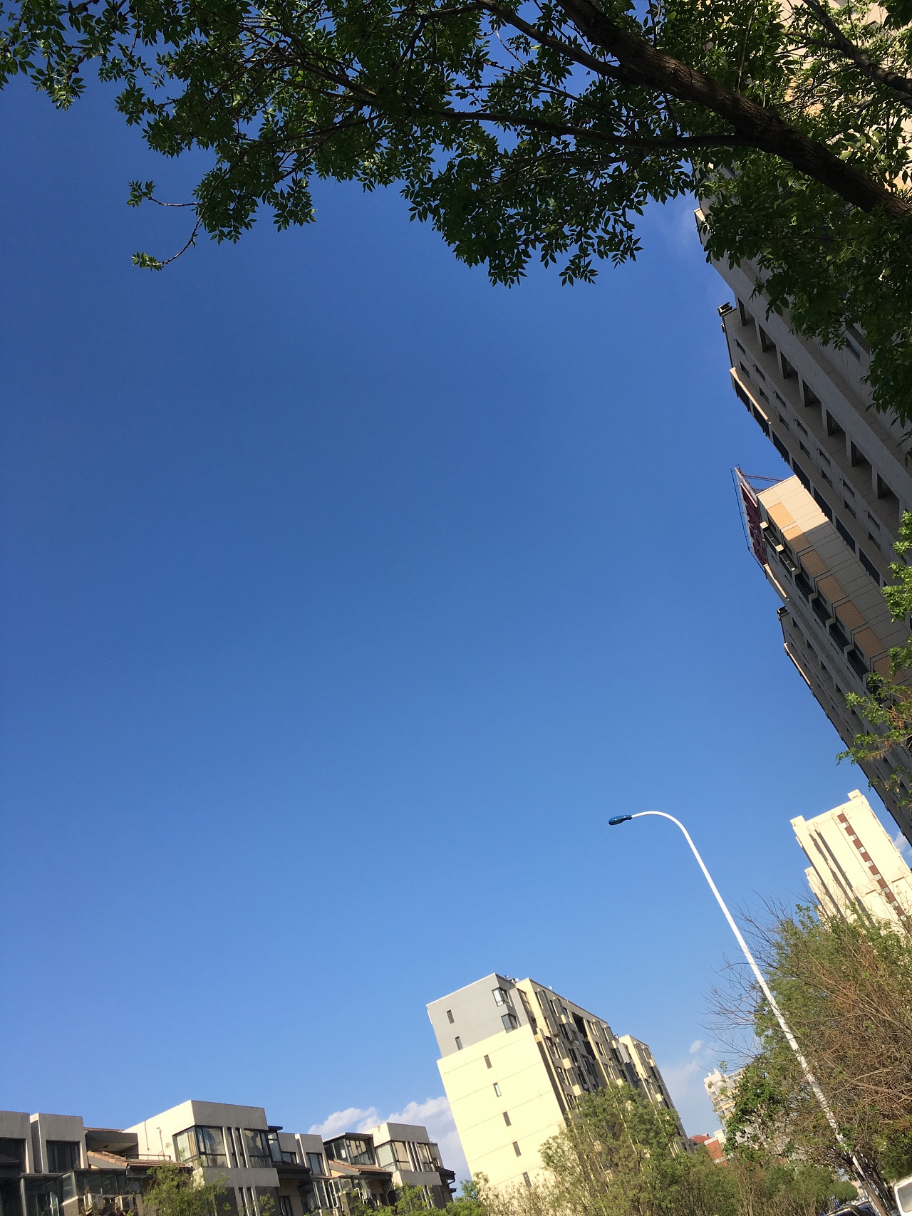 蓝蓝的天空