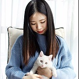 虫虫yuki的头像