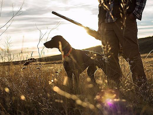 2017宠物户外用品海报国际站（个人主页-ZMjY1Njk1NDg=） - 电商 - 站酷设计师ICY22原创素材 - 站酷ZCOOL