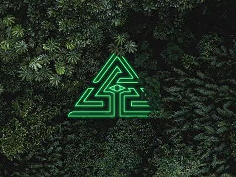 丛林电子音乐节海报