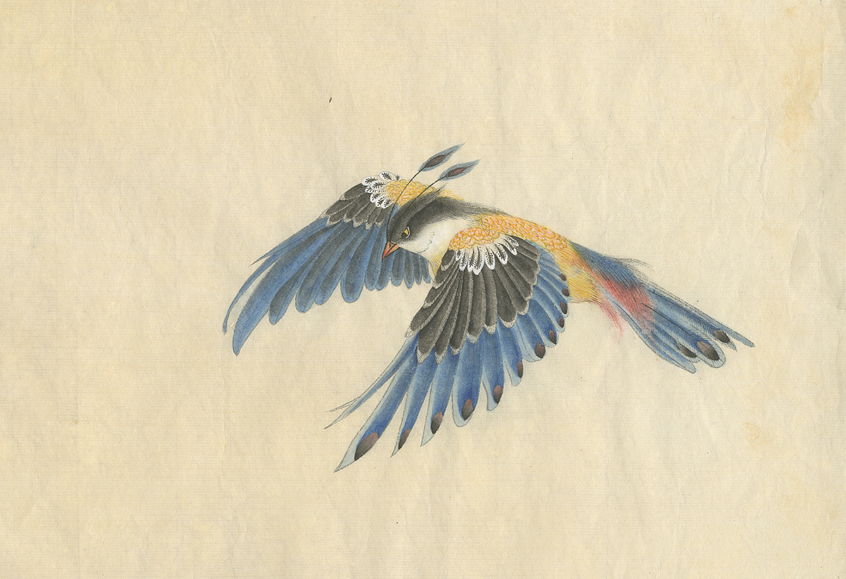 （by 老三）派格元年（2011-2012）（圖ZMzk0MTYzNDA=） - 藝術插畫 - 站酷設計師老三叁原創(chuàng)素材 - 站酷ZCOOL