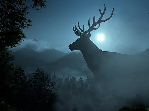 锁定野格 | Let’s start 造鹿行动！