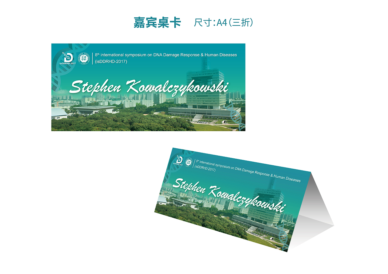 第八届DNA损伤应答与人类疾病国际研讨会（图ZOTc5NTIyODA=） - 品牌 - 站酷设计师淘气的熊原创素材 - 站酷ZCOOL