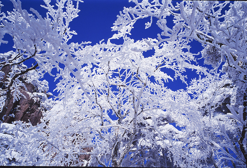 黄山徽州各时期胶片摄影