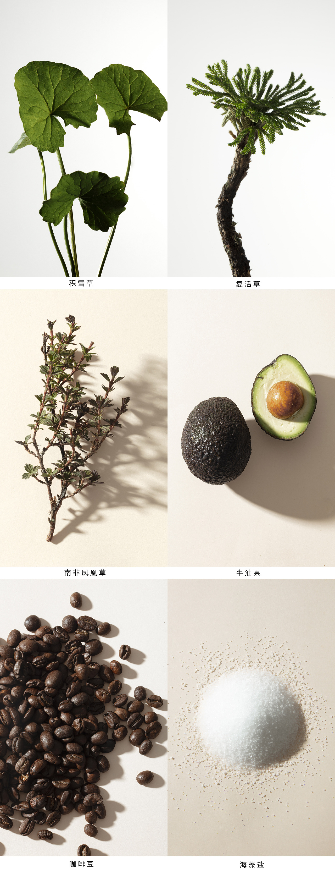 旅行护肤品视觉全案｜周良方✖️商鼎摄影（图ZMjg0NzEyMzQw） - 电商 - 站酷设计师商鼎视觉广告原创素材 - 站酷ZCOOL