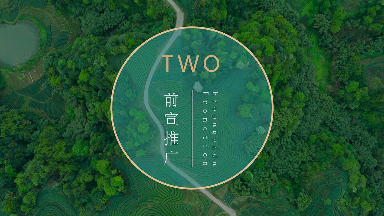 2021文旅项目春季(诗里田园春游记主题)活.