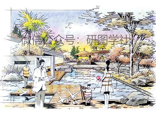 园林手绘