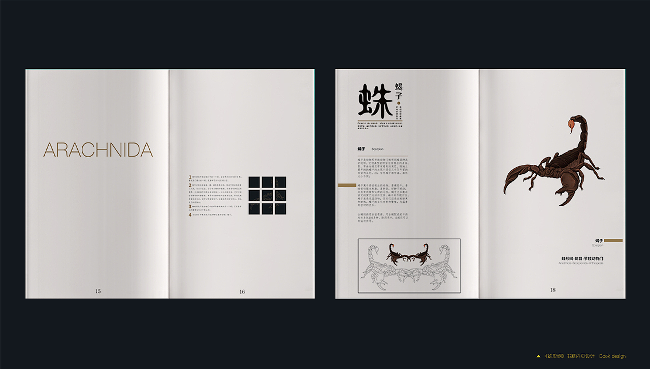 《野生保护动物名录》| 2020毕业设计