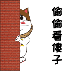 行运猫动态表情