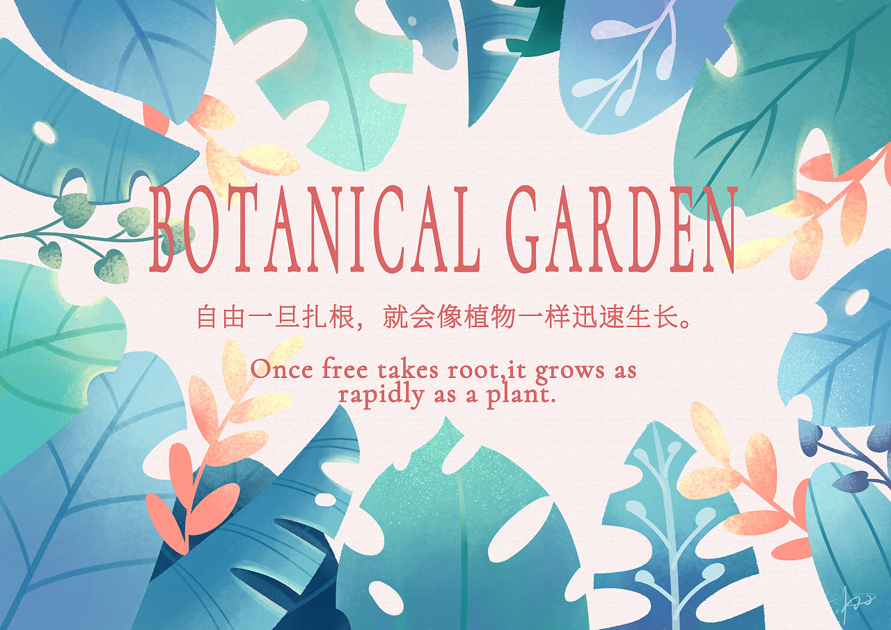 植物海报|插画|商业插画|画画的沐羽 - 原创作品 - 站酷 (zcool)