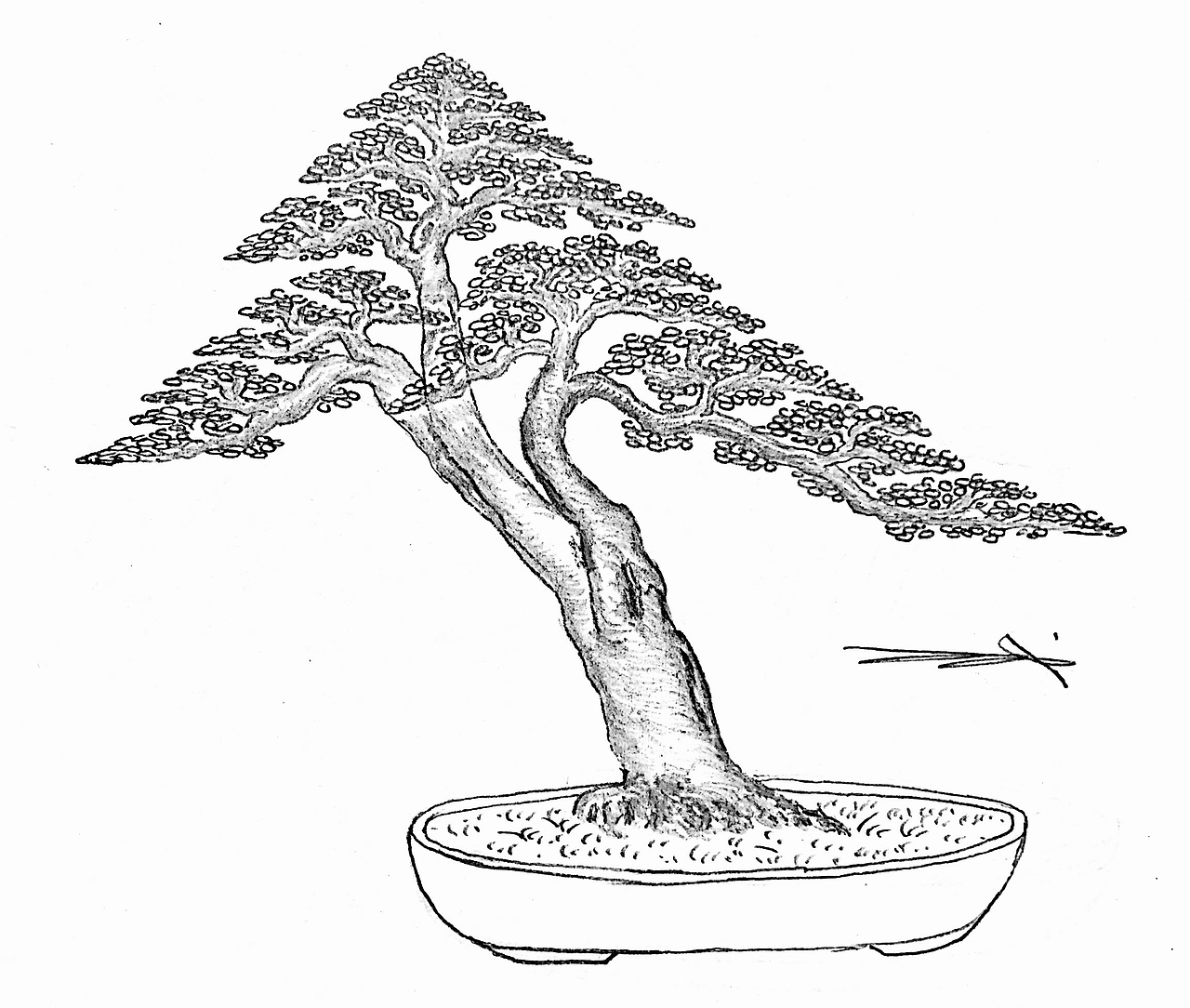 吕绍武手绘盆景设计效果图（图ZMTY4MDkwNjA0） - 绘画 - 站酷设计师慧武原创素材 - 站酷ZCOOL